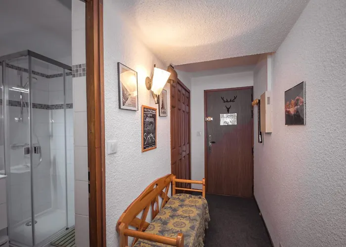 Au Pied Des Pistes A Avec Parking Prive, Proche Centre - Fr-1-343-162 公寓